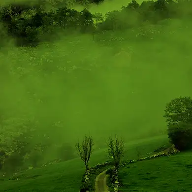 cesta-z-mesta background