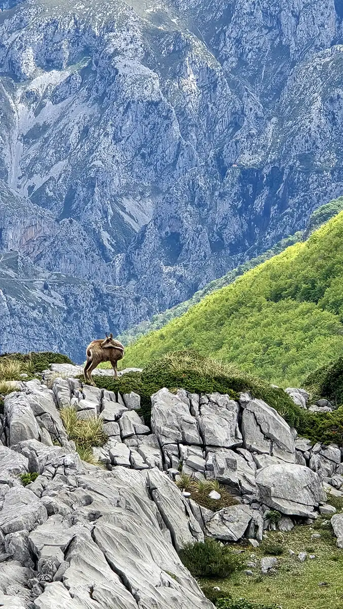 Explorito jde na cesty jinak 5